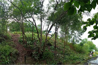 phuket-town-land-seaview-for-sale-920081001-1146