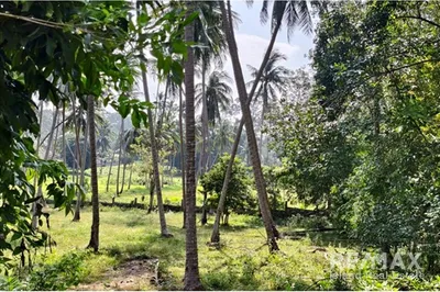 tranquil-land-in-ang-thong-koh-samui-ideal-for-building-your-dream-home-re001-2389e