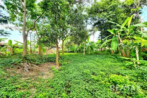 bangrak-land-for-sale-koh-samui-920121018-203