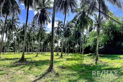 large-investment-land-near-island-ring-road-rs018-278