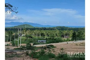 hot-deal-sea-view-land-plot-for-sale-in-mae-nam-hill-920121059-19