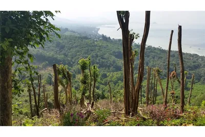 koh-samui-freehold-sea-view-land-for-sale-920121061-78