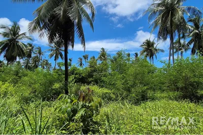 2-rai-flat-land-beachfront-in-hing-kong-koh-phangan-mm064-31